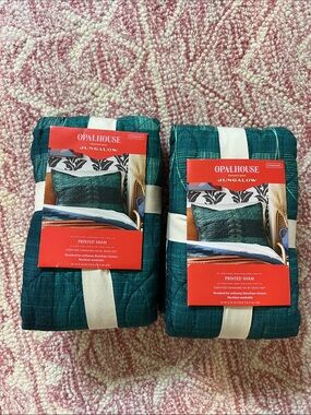 Opalhouse Teal Printed Shams - Set of 2